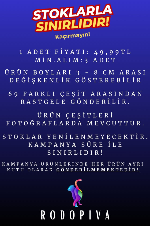 Sürpriz Anahtarlık Kampanyası (1ADET)(Rastgele Gönderilir) Anahtarlık Çanta Süsü Çharm